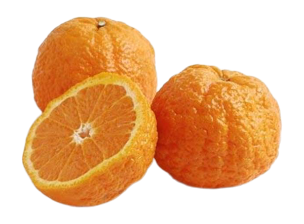 超美品 Golden Nugget Orange ゴールデンナゲット オレンジ Gold Nugget Mandarins | Hy-Vee Aisles Online Grocery Shopping