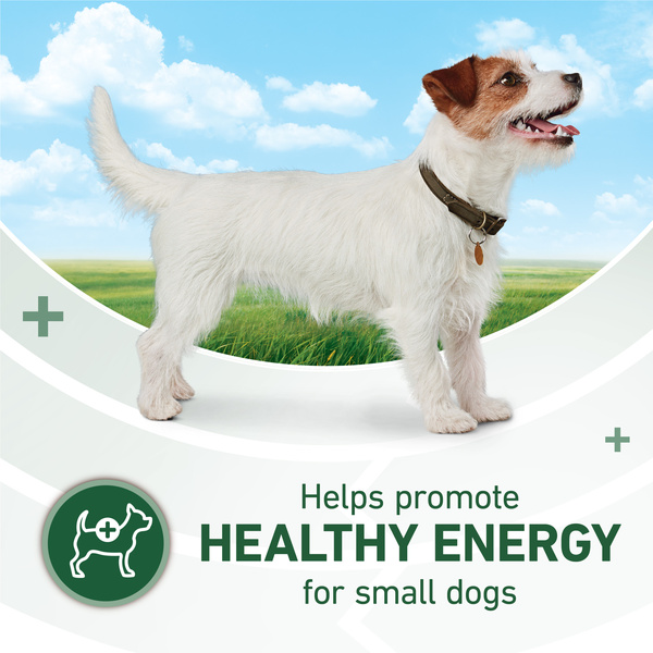 Vee Rice Purina ONE Plus Small Breed Adult Dog Food with Lamb and Rice, Dry Dog ...