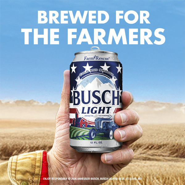 Busch Light American Lager Beer 30 Pack, 12 fl oz Cans | Hy-Vee