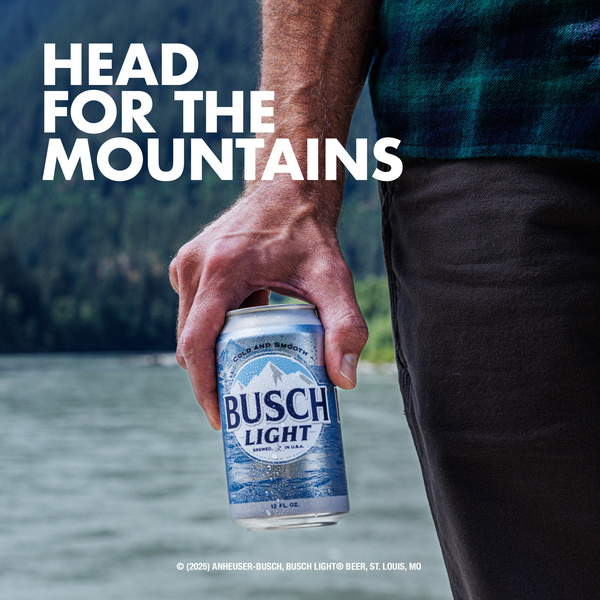 Busch Light American Lager Beer 30 Pack, 12 fl oz Cans | Hy-Vee
