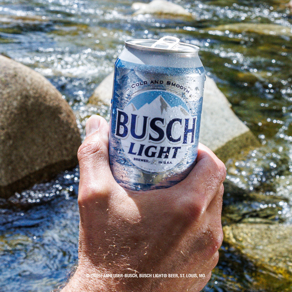 Busch Light American Lager Beer 30 Pack, 12 fl oz Cans | Hy-Vee