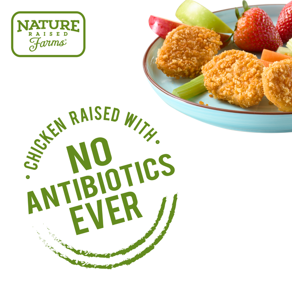 Nature Raised Farms Lightly Breaded Chicken Nuggets Fully Cooked