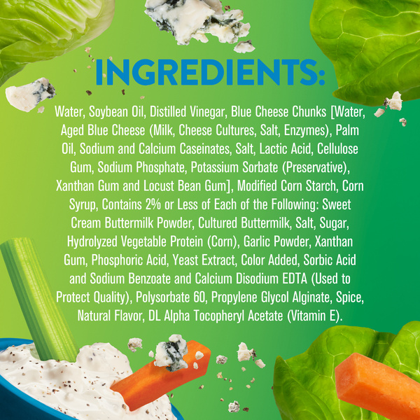 Wish-Bone Chunky Blue Cheese Salad Dressing, 15 fl. oz