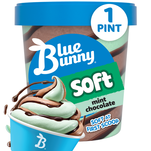 Blue Bunny Soft Mint Chocolate Frozen Dessert, 16 fl oz Pint | Hy