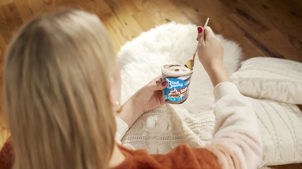 Blue Bunny Soft Cherry Chocolate Frozen Dessert, 16 fl oz Pint
