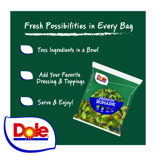 Dole Premium Romaine Salad Mix | Hy-Vee Aisles Online Grocery Shopping