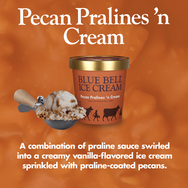 Blue Bell Pecan Pralines 'n Cream Ice Cream Pint, 16 fl oz | Hy