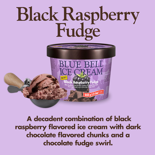 Blue Bell Black Raspberry Fudge Ice Cream Half Gallon, 64 fl oz