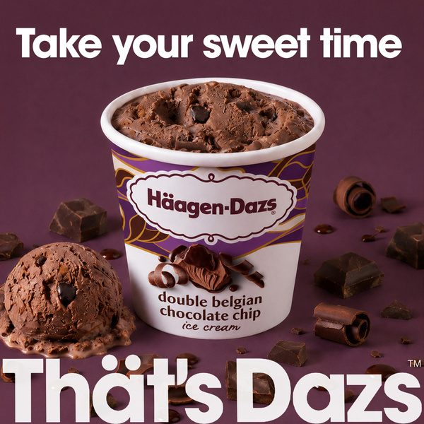 Haagen Dazs Double Belgian Chocolate Chip Ice Cream, 14 Oz. | Hy