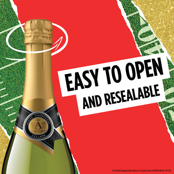 Andre Brut California Champagne Sparkling Wine 750ml | Hy-Vee