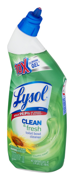 Lysol Fresh Cling Gel Forest Rain Scent Toilet Bowl Cleaner 24 fl