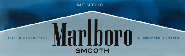 smooth cigarettes Winston Gold Box Fsc - CTN Splash Smooth Menthol Tobacco Free