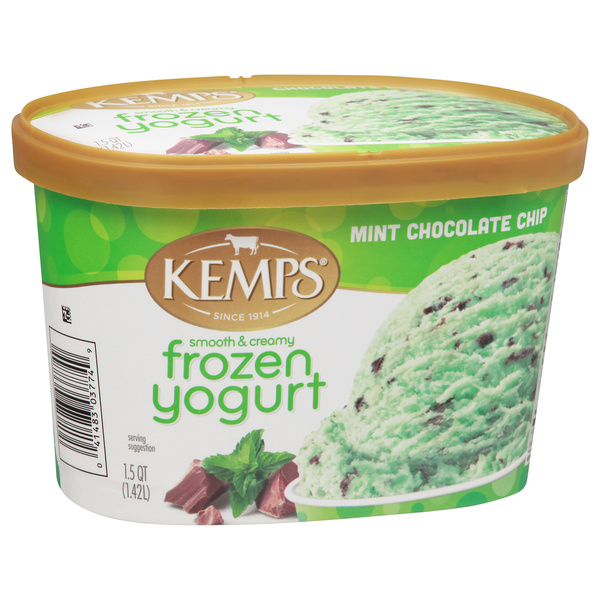 Kemps Mint Chocolate Chip Frozen Yogurt | Hy-Vee Aisles Online