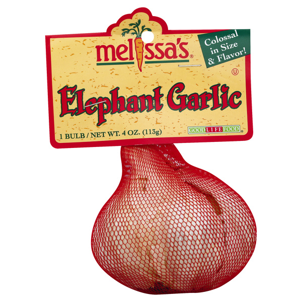 Melissa's Elephant Garlic, image courtesy of Hy-Vee