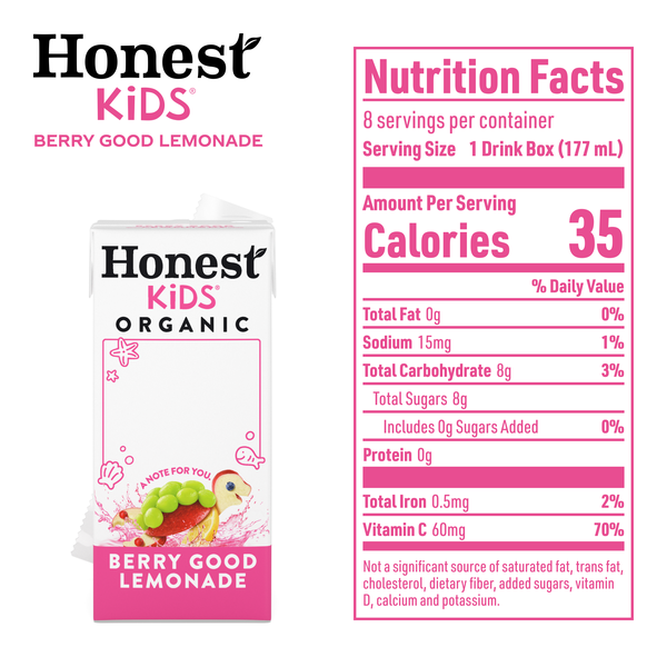 Honest Kids Berry Good Lemonade Organic Juice Drink Cartons, 6 fl