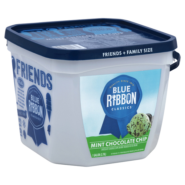 Blue Ribbon Classics Family Size Mint Chocolate Chip Ice Cream