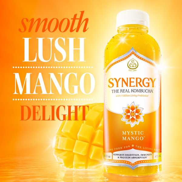 Synergy Mystic Mango Kombucha 16 fl oz | Hy-Vee Aisles Online