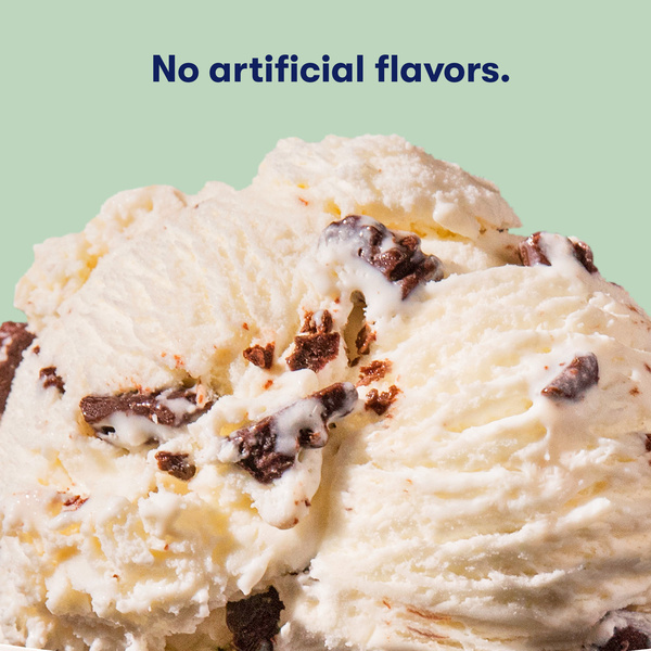 Tillamook Ice Cream, Mint Chocolate Chip | Hy-Vee Aisles Online