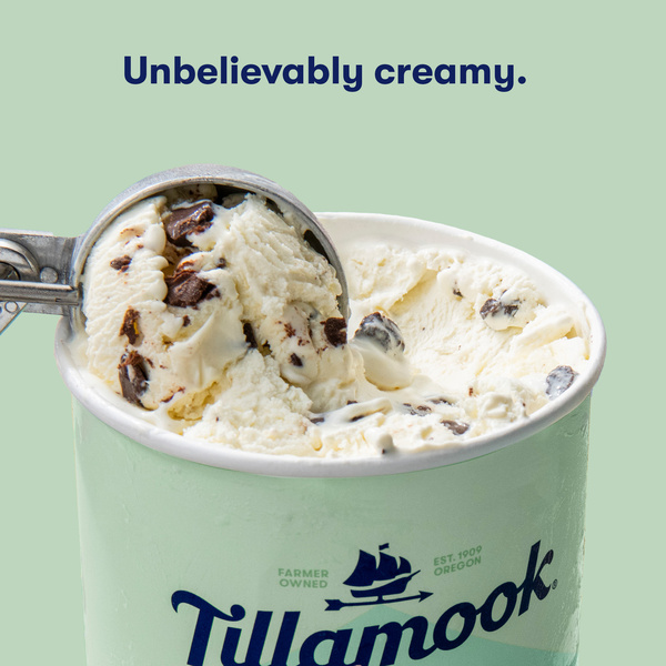 Tillamook Ice Cream, Mint Chocolate Chip | Hy-Vee Aisles Online