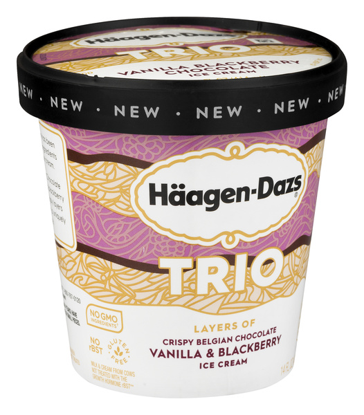 Haagen-Dazs Trio Belgian Chocolate Vanilla & Blackberry Ice Cream