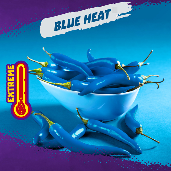 Takis Crisps Blue Heat Spicy Potato Crisps 5.5 oz Can | Hy-Vee