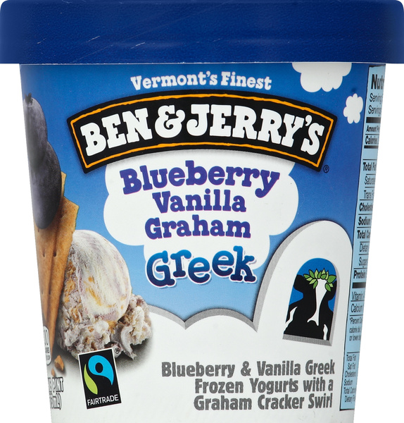 Ben & Jerry's Blueberry Vanilla Graham Greek Frozen Yogurt | Hy