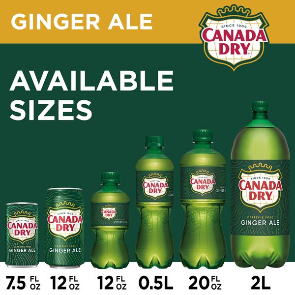 Canada Dry Ginger Ale Soda, 10 Pack | Hy-Vee Aisles Online Grocery