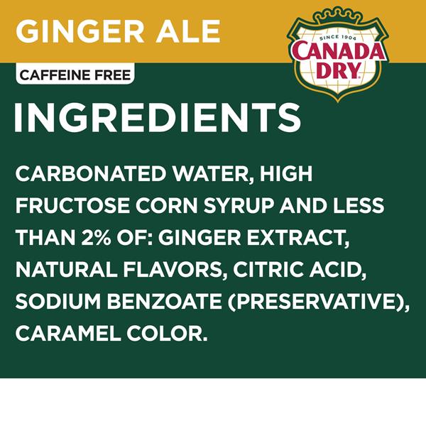 Canada Dry Ginger Ale Soda, 10 Pack | Hy-Vee Aisles Online Grocery
