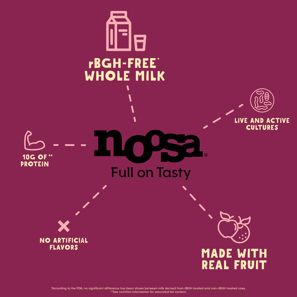 Noosa Cherry Mix-ins, 5.8 oz | Hy-Vee Aisles Online Grocery Shopping