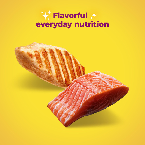 Meow Mix Tender Centers Salmon & White Meat Chicken Flavors, Dry