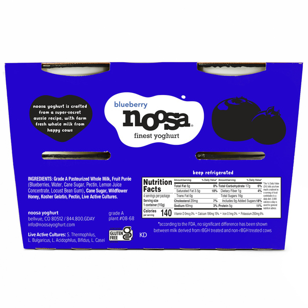Noosa Blueberry Multipack Yoghurt 4 pack, 16 oz | Hy-Vee Aisles