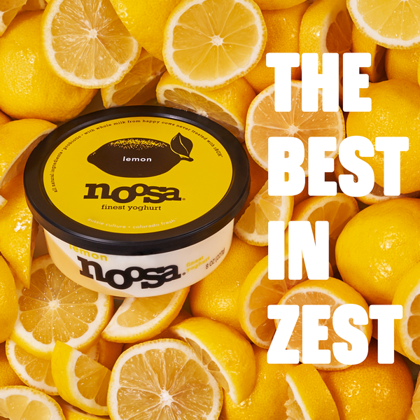 Noosa Lemon Yoghurt, 8 oz | Hy-Vee Aisles Online Grocery Shopping