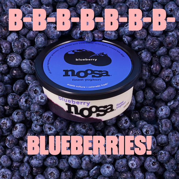 Noosa Blueberry Yoghurt, 8 oz | Hy-Vee Aisles Online Grocery Shopping