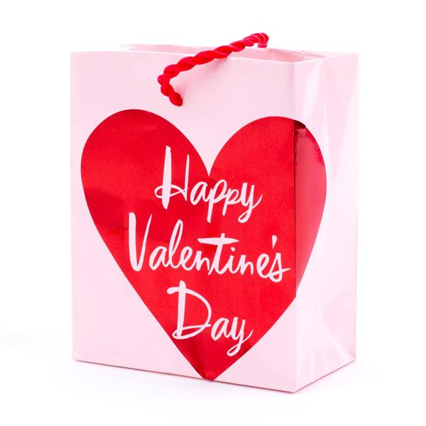 Hallmark Valentine's Day Gift Card Holder Mini Gift Bag (Pink