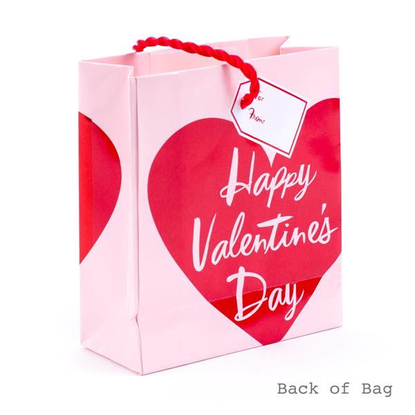 Hallmark Valentine's Day Gift Card Holder Mini Gift Bag (Pink