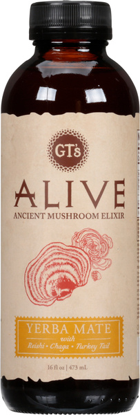 GT's Alive Yerba Mate Ancient Mushroom Elixir 16 fl oz | Hy-Vee