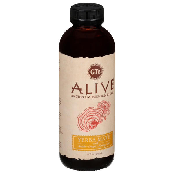 GT's Alive Yerba Mate Ancient Mushroom Elixir 16 fl oz | Hy-Vee
