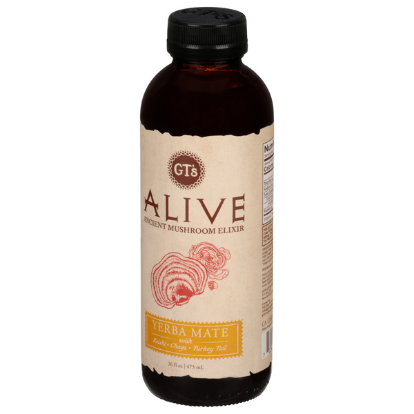 GT's Alive Yerba Mate Ancient Mushroom Elixir 16 fl oz | Hy-Vee