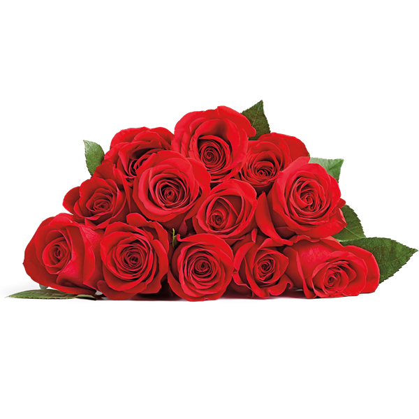 12 Stem Rose Bouquet | Hy-Vee Aisles Online Grocery Shopping