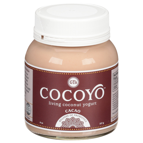 Gt's Coconut Yogurt, Living, Cacao | Hy-Vee Aisles Online Grocery