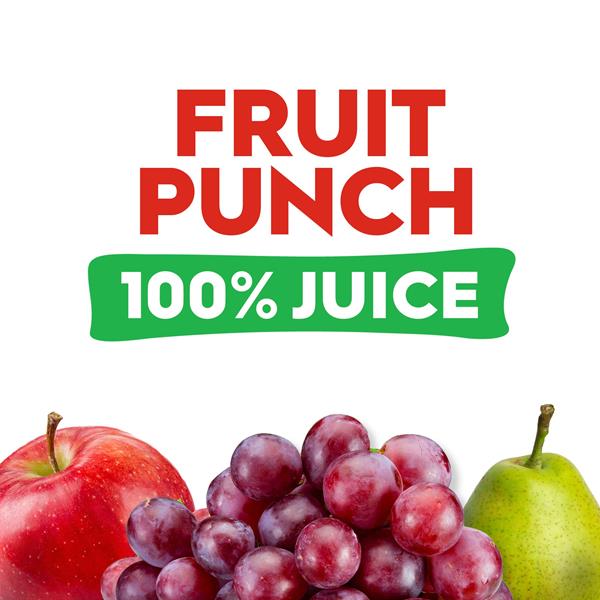 Juicy Juice 100% Juice, Fruit Punch | Hy-Vee Aisles Online Grocery